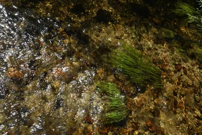 DSC_4394 (Large).JPG